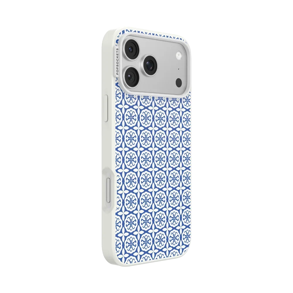 Electric Picks Case
